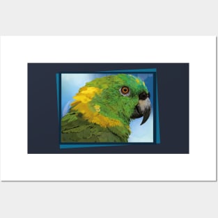 yellow-naped amazon Posters and Art